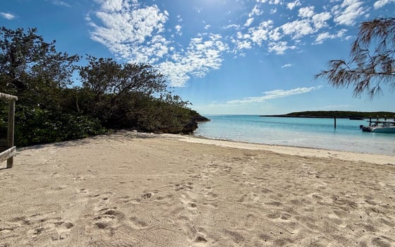 Leaf Cay, Private Island - MLS 66142, picture 7