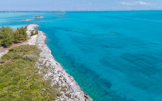 Leaf Cay, Private Island - MLS 66142, picture 16