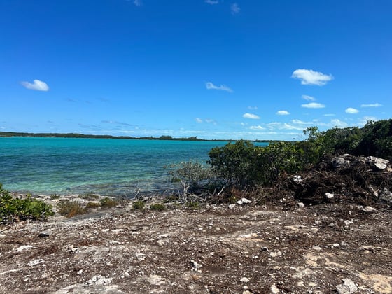 The Diamond House, Flamingo Bay Estates, picture 15