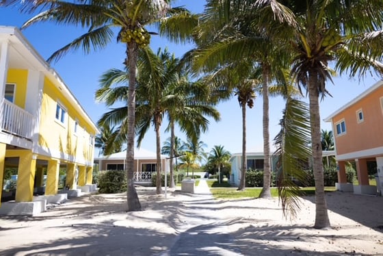 Bootle Bay, Oceanfront Estate - MLS 66930, picture 100