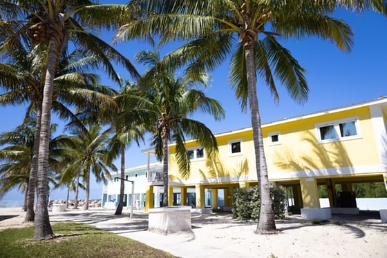 Bootle Bay, Oceanfront Estate - MLS 66930, picture 31