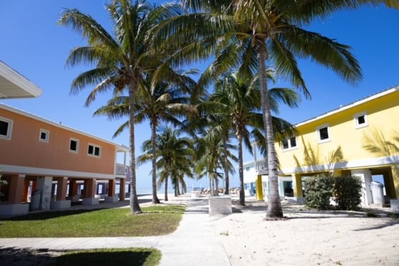Bootle Bay, Oceanfront Estate - MLS 66930, picture 13