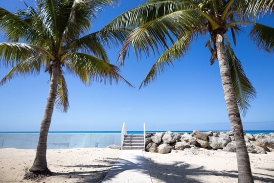 Bootle Bay, Oceanfront Estate - MLS 66930, picture 32