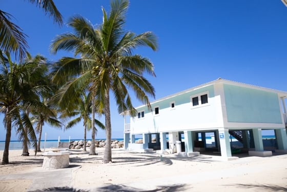 Bootle Bay, Oceanfront Estate - MLS 66930, picture 14