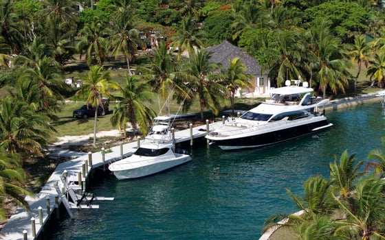 Coconut Point, Beachfront Estate with Dockage - MLS 66598, picture 2