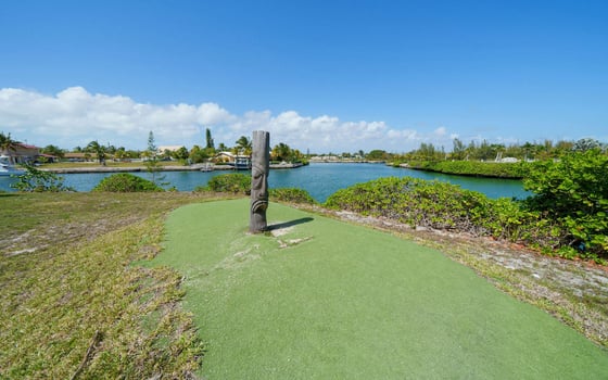 Jacaranda Estate - MLS 67021, picture 41