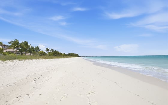 11 Spanish Main, Beachfront Estate - MLS 66959, picture 64