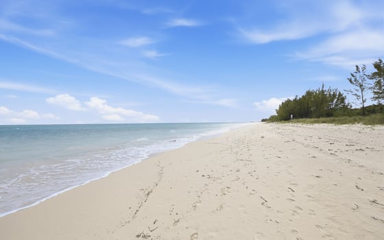 11 Spanish Main, Beachfront Estate - MLS 66959, picture 72