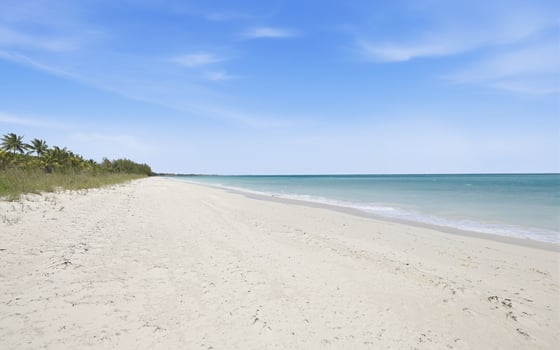 11 Spanish Main, Beachfront Estate - MLS 66959, picture 71