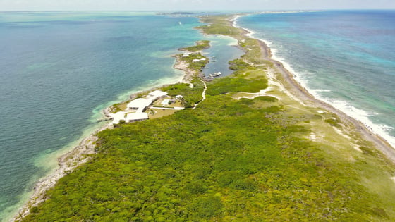 Tilloo Pond Estate Tilloo Cay Abaco - MLS 63410, picture 48