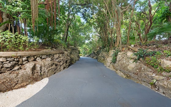 Beaumont Estate - MLS 64923, picture 51