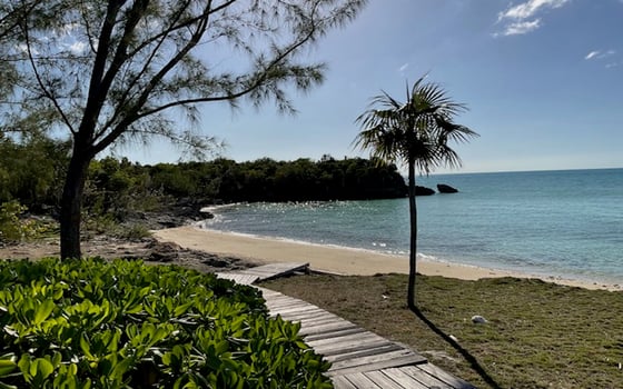 Beachfront Acreage in Private Beach Cove - MLS 63423, picture 39