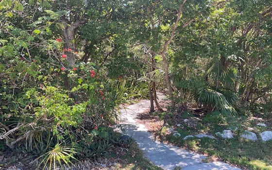 Beachfront Acreage in Private Beach Cove - MLS 63423, picture 21