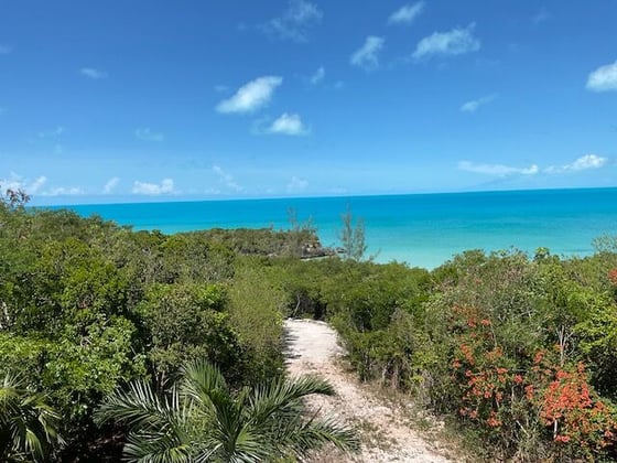 Beachfront Acreage in Private Beach Cove - MLS 63423, picture 20