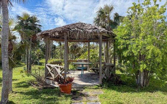 Senza Nome, A Historic Beachfront Estate - MLS 68080, picture 26