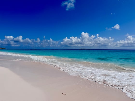 Senza Nome, A Historic Beachfront Estate - MLS 68080, picture 91