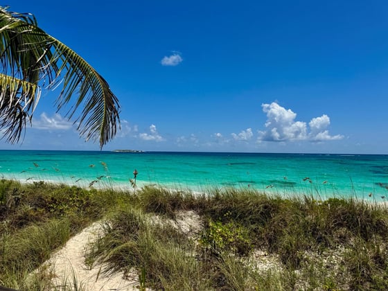 Senza Nome, A Historic Beachfront Estate - MLS 68080, picture 90