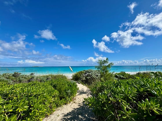 Senza Nome, A Historic Beachfront Estate - MLS 68080, picture 36
