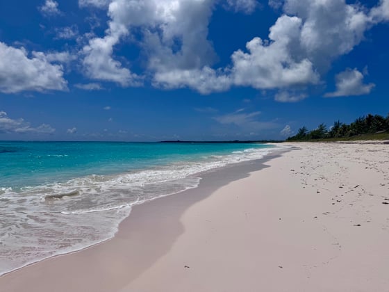 Senza Nome, A Historic Beachfront Estate - MLS 68080, picture 92