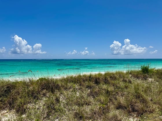 Senza Nome, A Historic Beachfront Estate - MLS 68080, picture 89