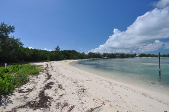 Coco Bay Retreat Micro Resort - MLS 65803, picture 61