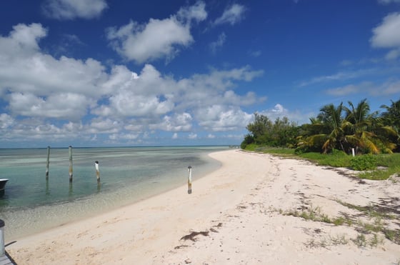 Coco Bay Retreat Micro Resort - MLS 65803, picture 60