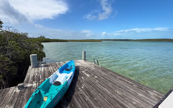 Whatavue, Elevated Waterfront, Windermere Island - MLS 65082, picture 44