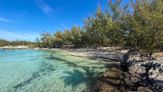 Rare Beachfront Estate - MLS 65155, picture 36