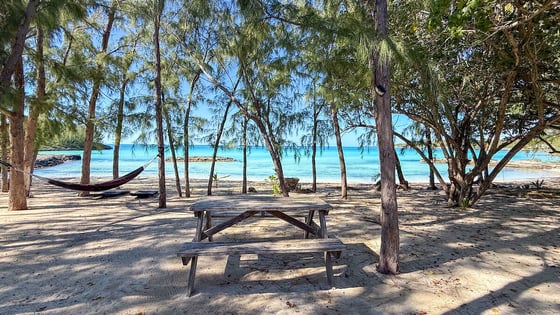 Rare Beachfront Estate - MLS 65155, picture 27