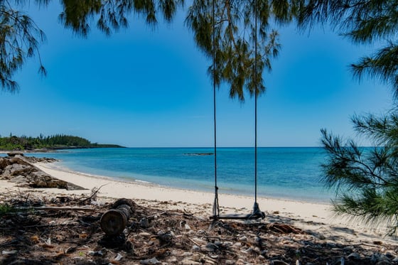 Starfish 9, Paradise Found, Cape Eleuthera - MLS 62085, picture 48