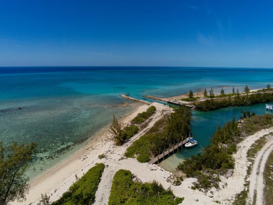 Starfish 9, Paradise Found, Cape Eleuthera - MLS 62085, picture 44