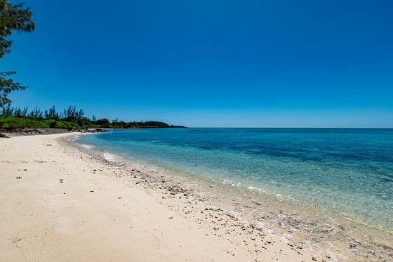 Starfish 9, Paradise Found, Cape Eleuthera - MLS 62085, picture 15
