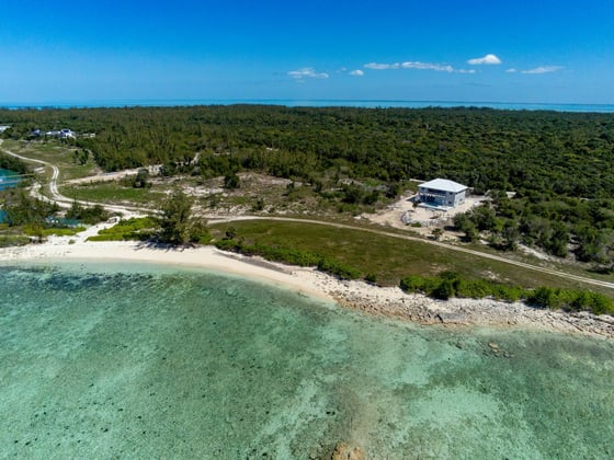 Starfish 9, Paradise Found, Cape Eleuthera - MLS 62085, picture 20