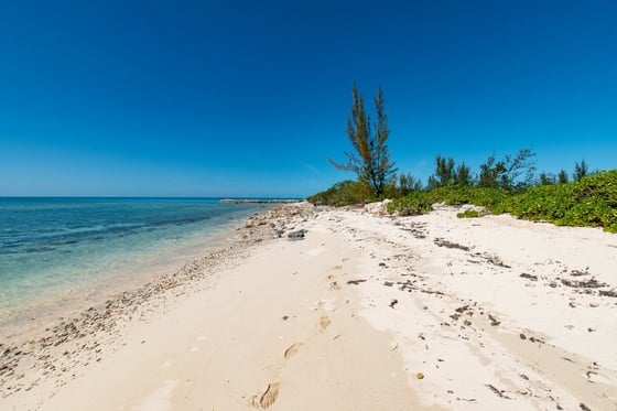 Starfish 9, Paradise Found, Cape Eleuthera - MLS 62085, picture 50