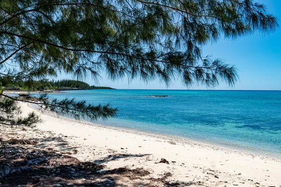 Starfish 9, Paradise Found, Cape Eleuthera - MLS 62085, picture 49