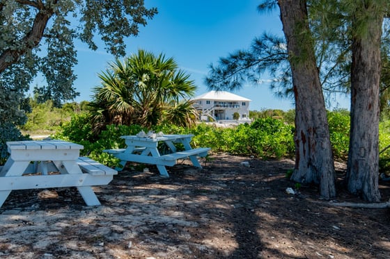 Starfish 9, Paradise Found, Cape Eleuthera - MLS 62085, picture 14