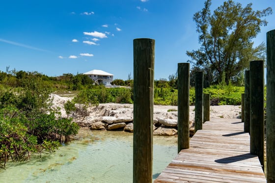 Starfish 9, Paradise Found, Cape Eleuthera - MLS 62085, picture 16