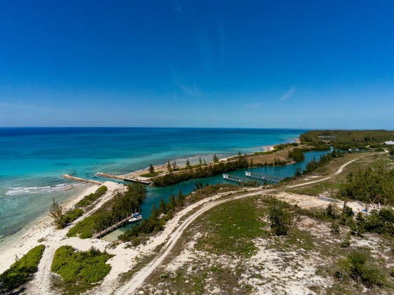 Starfish 9, Paradise Found, Cape Eleuthera - MLS 62085, picture 18