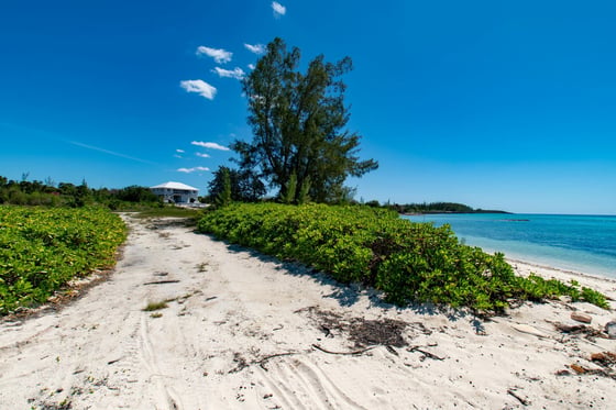 Starfish 9, Paradise Found, Cape Eleuthera - MLS 62085, picture 51