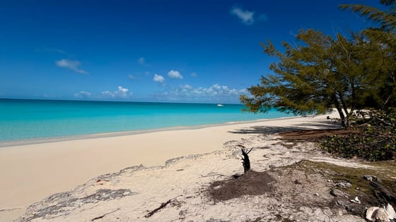 Lots 1B and 2B, Bennetts Harbor - MLS 66678, picture 9