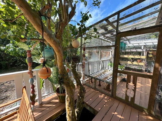 The Green House and Cat 6 Cabana - MLS 66388, picture 22