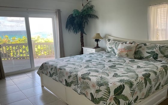 Lot 9, Beachfront Home - MLS 67032, picture 17
