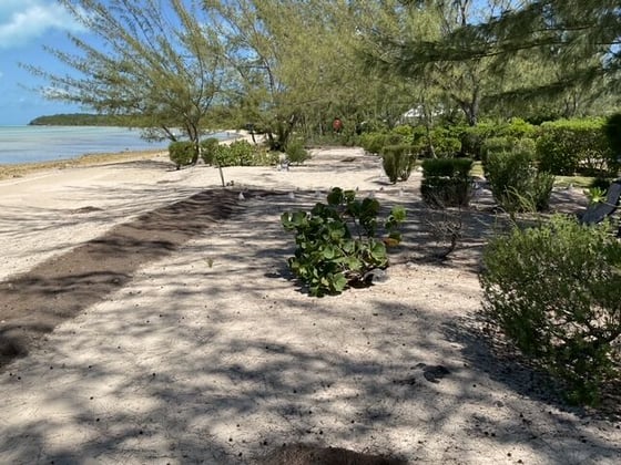 Beachfront Home Wemyss Bight Estate - MLS 61504, picture 37