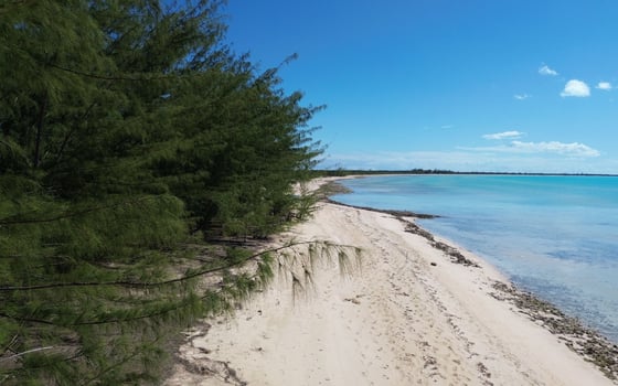 Beachfront Home Wemyss Bight Estate - MLS 61504, picture 39