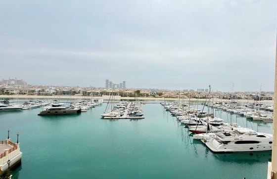 Premium Upgraded | Fully Furnished | Sea View, picture 6