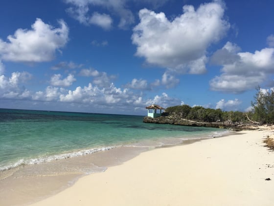 Beachfront Home on 9.1 Acre Estate. - MLS 67503, picture 15