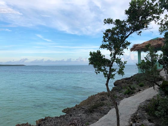 Beachfront Home on 9.1 Acre Estate. - MLS 67503, picture 20