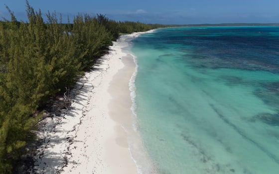 Beachfront Home on 9.1 Acre Estate. - MLS 67503, picture 28