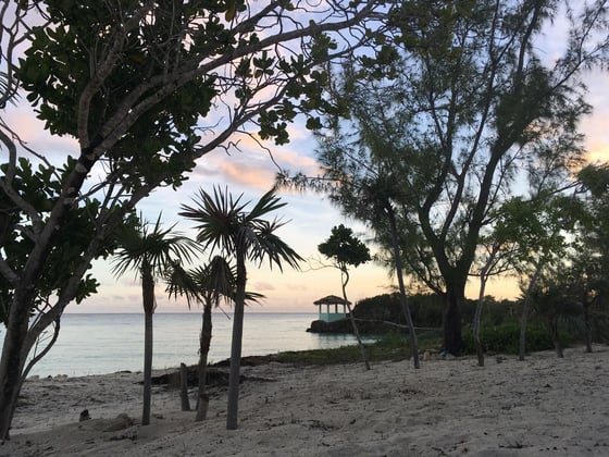Beachfront Home on 9.1 Acre Estate. - MLS 67503, picture 21