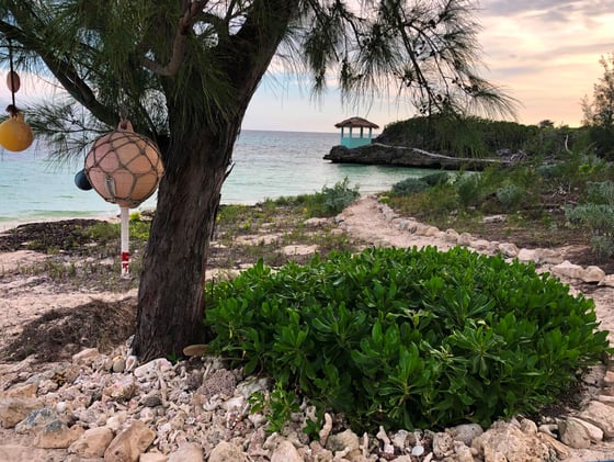 Beachfront Home on 9.1 Acre Estate. - MLS 67503, picture 18